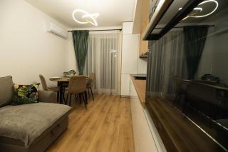 Panoramic RESIDENCE - Baia Mare - 8