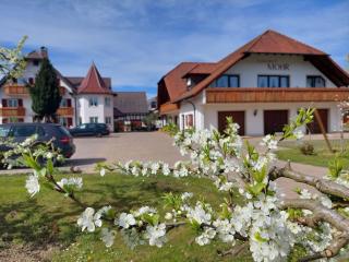 Ferienhof Mohr - Meersburg - 5