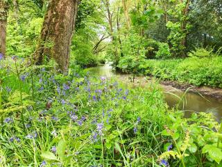 Riverside farm cottage on private wildlife estate 1-bedroom - 2