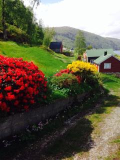 Feriehus ved fjorden - 2