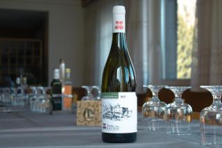 Locanda La Ruscoletta - Telve - 4