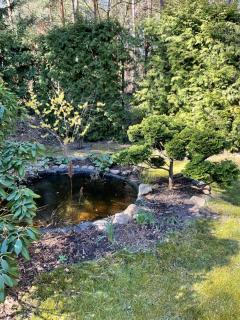 Waldtraum Wandlitzsee - Wandlitz - 1