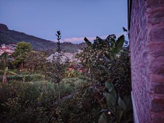 A small house with space to farm - 4