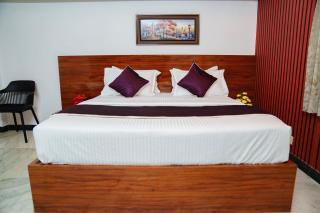Rich inn Palace Tnagar - Madras - 4