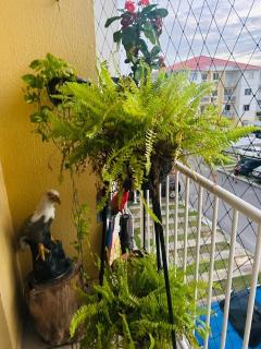 Apartment in Torquato Tapajós - Manaus - 6
