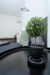 Appartements am Alten Löhrtor - Coblença - 2