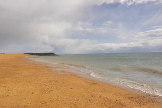 Sea lets - Selsey - 9