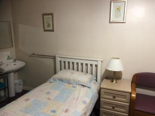 SJGUESTHOUSE LONDON Single Room A - Londra - 7