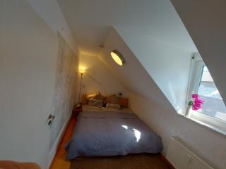 Ruhiges & zentrales Loft in Lörrach - Lörrach - 2