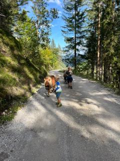 Gut Schablberg - Radstadt - 6