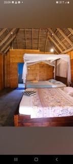 Vitamin sea beach cabana & hostel - Nilaveli - 2
