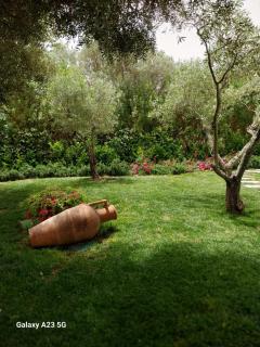 Green Paradise - Monti - 8