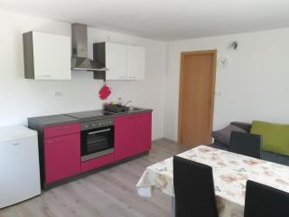 Apartma Patricija - Cozy apartments for 2 or 4 people - Tolmin - 9