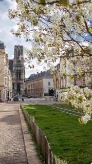 Au pied de la Cathédrale, bel appartement, lumineux avec 2 chambres - 7