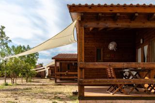 Ecològic Vinyols Camp - Vinyols i els Arcs - 9