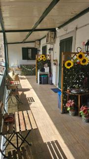 Saint Cristofer house - Catania - 0