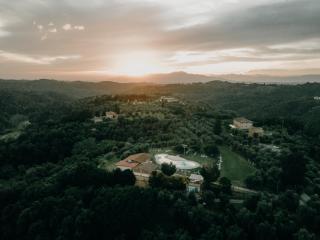 Fattoria di Colleoli - 0