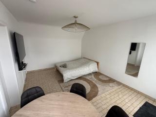 Appartement proche Strasbourg Centre 7 min gare - Strasburgo - 8
