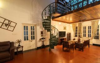 Bougainville, Wayanad - Kalpetta - 5