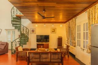 Bougainville, Wayanad - Kalpetta - 3