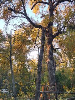 Cabaña Condominio Don Martin Chillán - 7