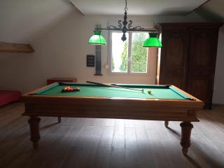 Aux Buzons, Jolie Villa champenoise - - 4