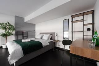 Loft spacious apartments in Prague - Prag - 8