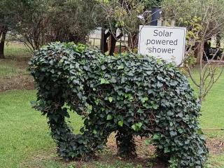 Airport Bird & Game Lodge - 2