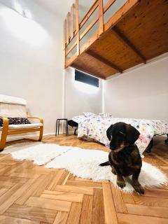 CozyNest in Budapest - Budapest - 4