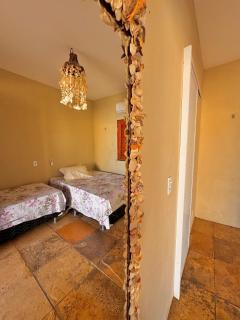 Palmeira’s du Vento - 1