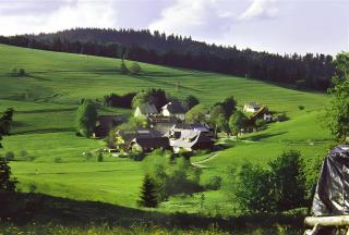 Haus Edelweiß Zimmer - Todtnau - 8