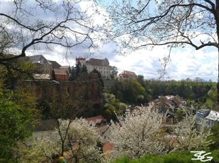 FEWO Lichtblick - Bautzen - 1