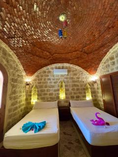 Pidgeon Lodge - Tunis Village - Tunis - 5
