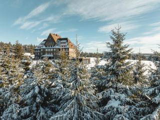 Naturhotel Sachsenbaude Oberwiesenthal - Oberwiesenthal - 9