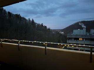 Panorama Apartment - Bad Harzburg - 1