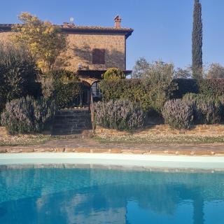 La Casa Di Bice - Asciano - 9
