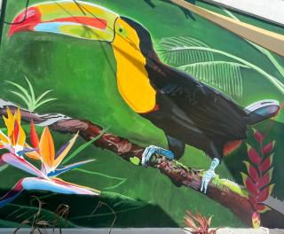 Costa Nube - Caye Caulker - 2