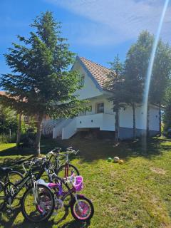 Vila Holiday - Golija - 4