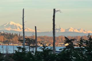 Heron's Landing - Lummi Island - 6