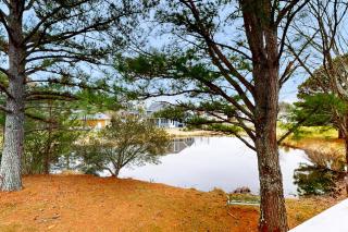 Salt Pond --- 491 Bethany Loop - Bethany Beach - 8