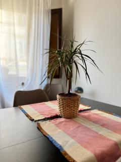 Platano by Monteverdi - 4