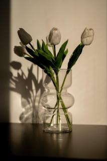 Villa Yuka- Luxurious Villa - 5