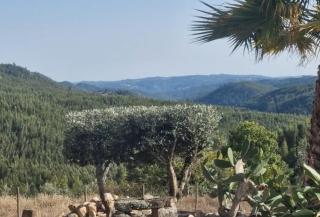Mountain views - Figueiró dos Vinhos - 7
