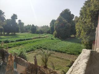 SOBHY KANA Guest House - Assuan - 8
