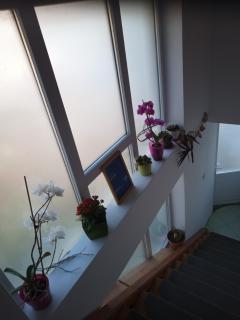 Casa Judith - 4