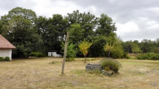 Ancienne ferme landaise en pleine forêt - 7