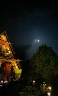 Dreamwoods by Viraasat-E-Bir - Bīr - 2