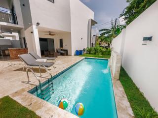 Stunning Brand New Villa in Downtown Punta Cana - Punta Cana - 6