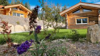 Franz Josefs Chalets - Untergriesbach - 7