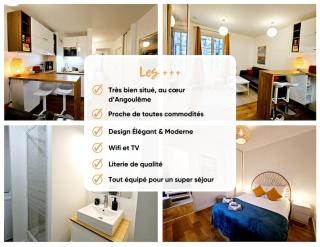 Agréable appartement en centre-ville - Angulema - 8